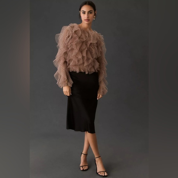 Anthropologie Dolan Left Coast Mesh Ruffle Top - Picture 4 of 4